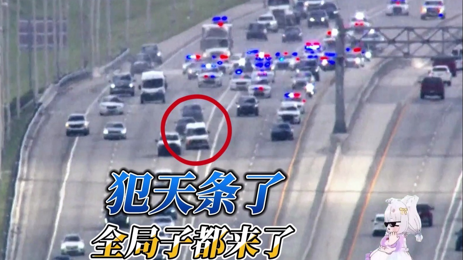 全网围观“天条级”翻车现场：这老哥到底干了啥，引来史上最夸张的“群狼战术”？