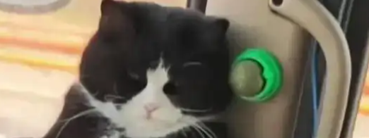 15斤的“幸福肥”背后，是3000公里孤独公路上的唯一慰藉