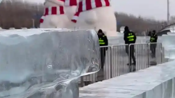 冰封奇观再现！哈尔滨冰雪大世界“冻鱼”引爆全网，网友：这波操作比极光还上头！